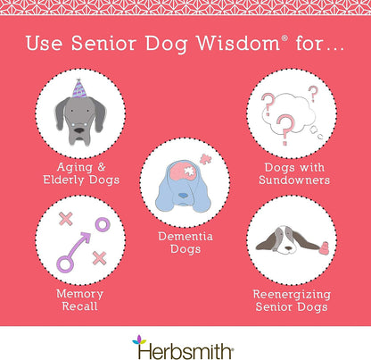 infographic showing the benefits and use of Senior Dog Wisdom Cognitive Support 
