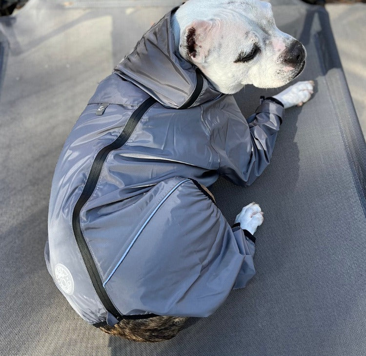 a white pit bull type dog lying down wearing a grey 4-legged Splash Suit for dogs