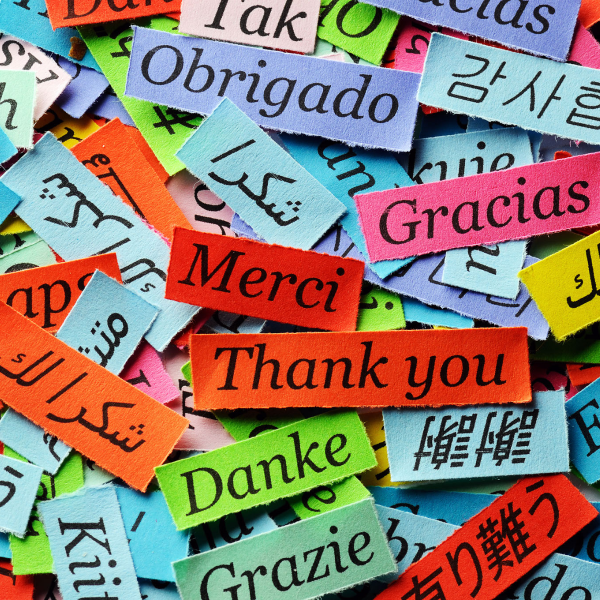 Many slips of colorful paper bearing the word "thank you" written in different languages