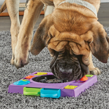 a tan mastiff type dog enjoying a meal from a purple turntable style food puzzle