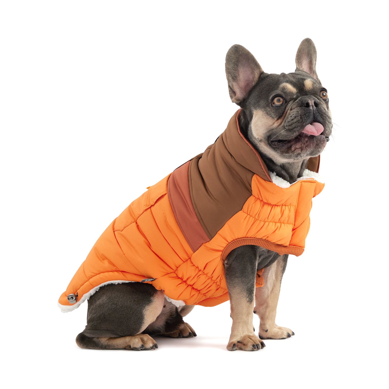a fawn and black french bulldog sitting down wearing an orange brown and rose puffer