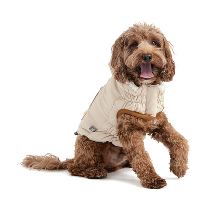 a brown labradoodle sitting down wearing an off white hooded parka for dogs