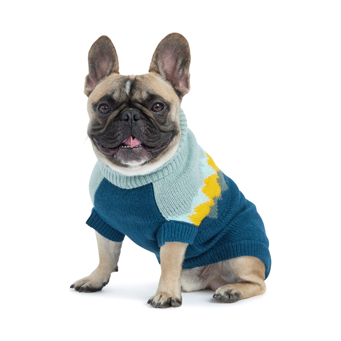 a fawn french bulldog seated, wearing a dark teal and light teal dog sweater with colorful mountain peaks graphic