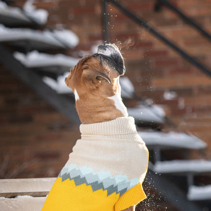 a boxer type dog jumping into the cold winter air wearing a beige and yellow dog sweater with colorful mountain peaks graphic