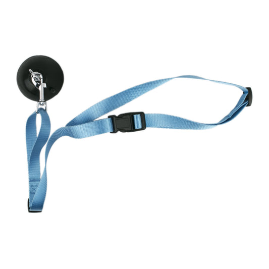 A blue dog bath leash with suction cup on one end