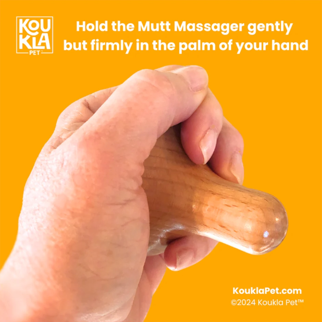 A hand holding a wooden dog massager