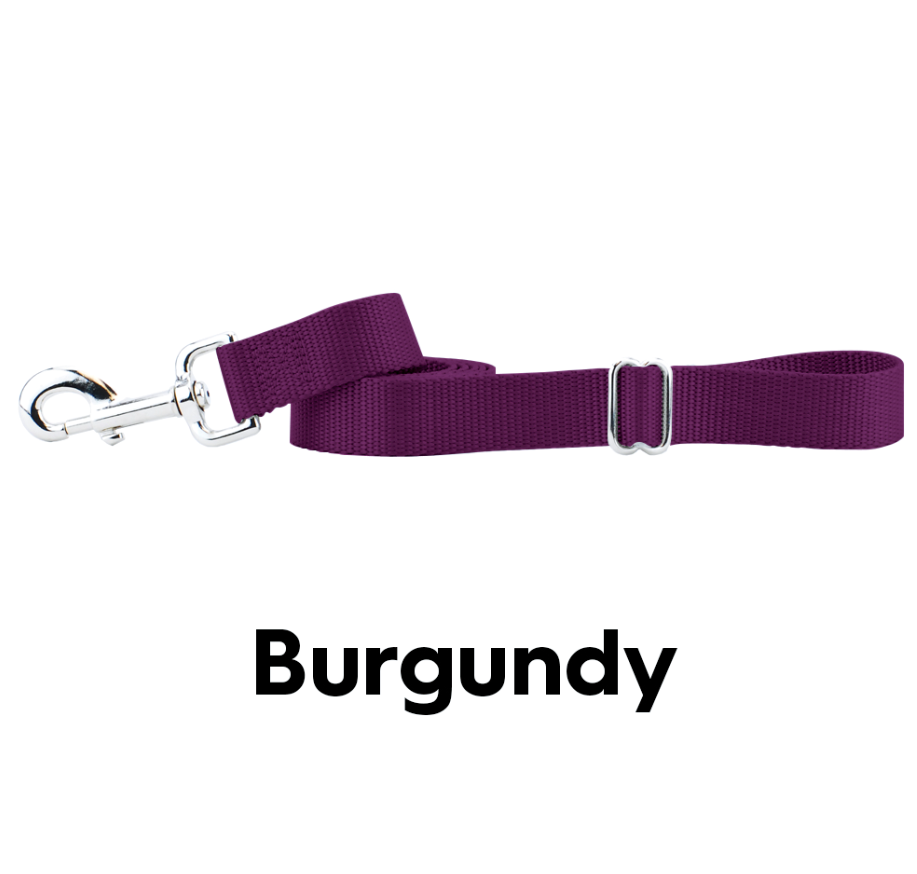 close up of a burgundy leash with handle