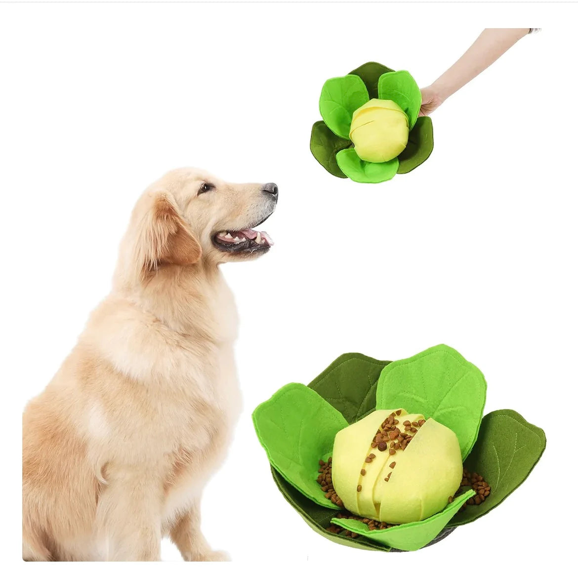 Cabbage cheap dog toy