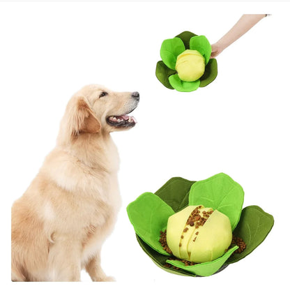 a human hand offering a green cabbage work to eat toy to a seated golden retriever type dog