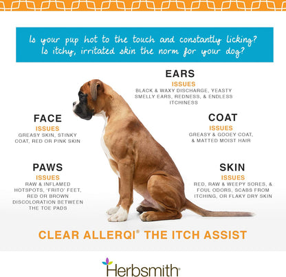 an infographic with a boxer type dog, listing benefits of Clear AllerQi supplement