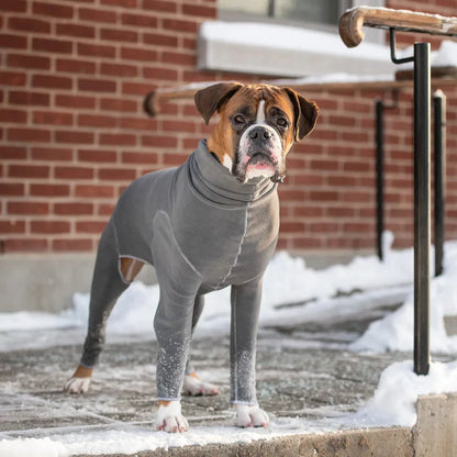 a brown and white boxer dog wearing a gray fleece onesie, standing on a snowy street