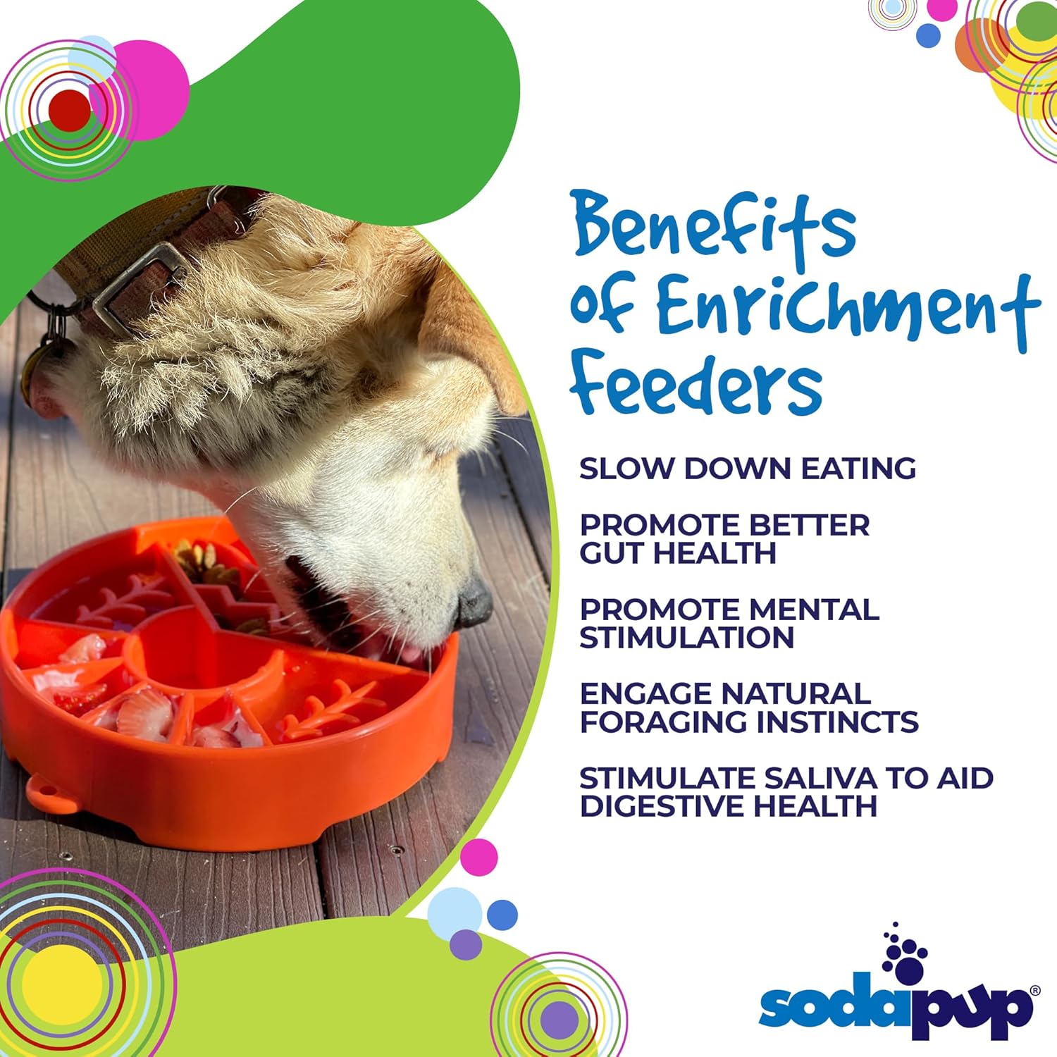 Infographic about the benefits of enrichment feeders for dogs 