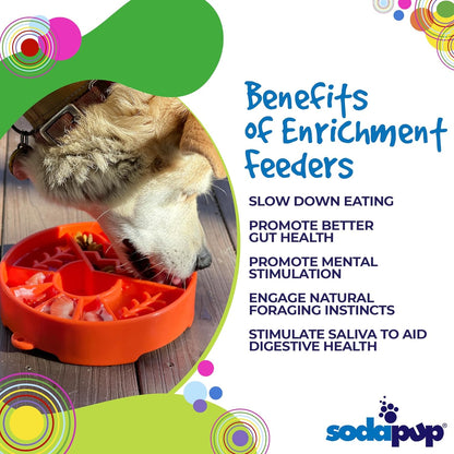 Infographic about the benefits of enrichment feeders for dogs 