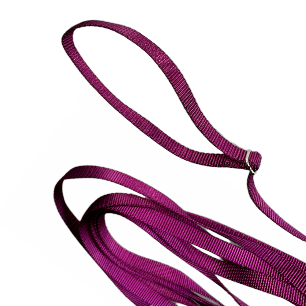 close-up view of the handle of a burgundy  nylon long leash