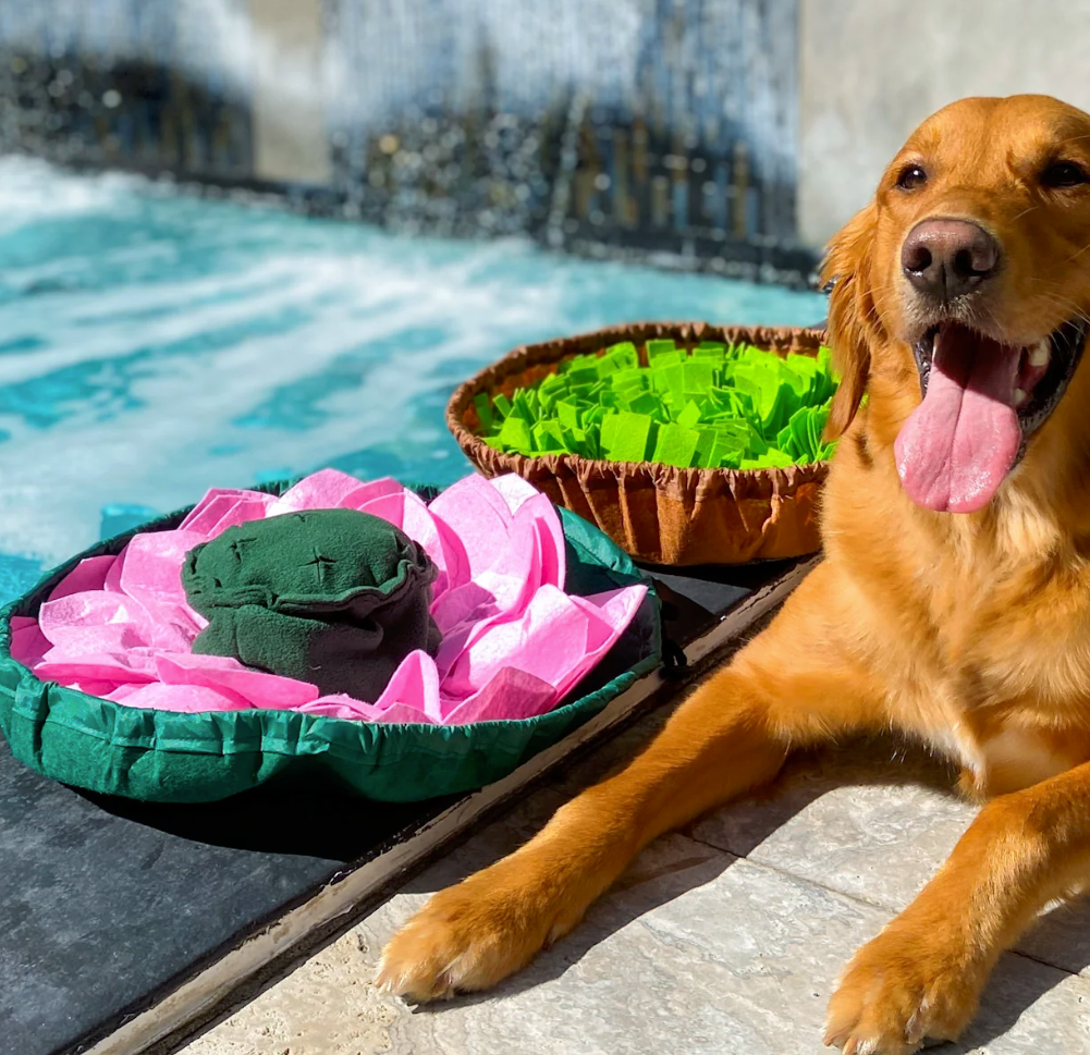 a retriever -type dog lying next to a pink and green Lotus flower-shaped snuffle mat dog toy and a brown and green salad bowl-shaped snuffle mart dog toy
