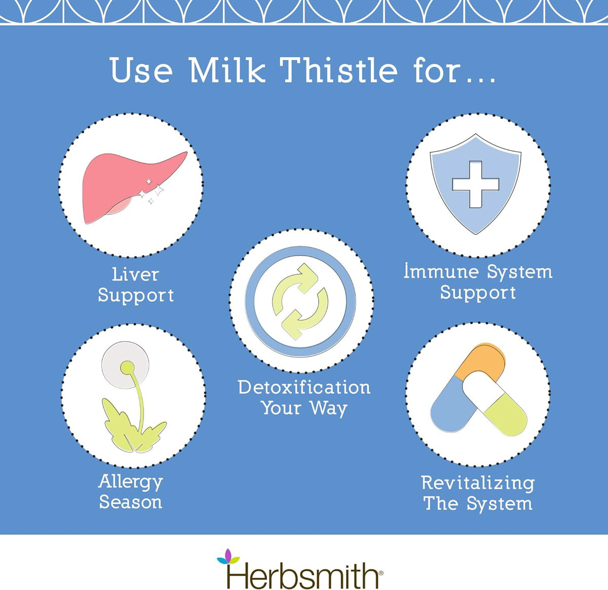 infographic showing benefits of milk thistle liver support for dogs 