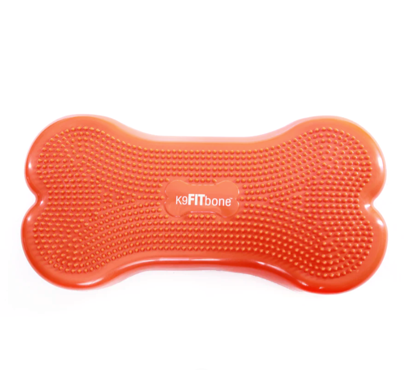 an orange inflatable bone-shaped dog balance platform