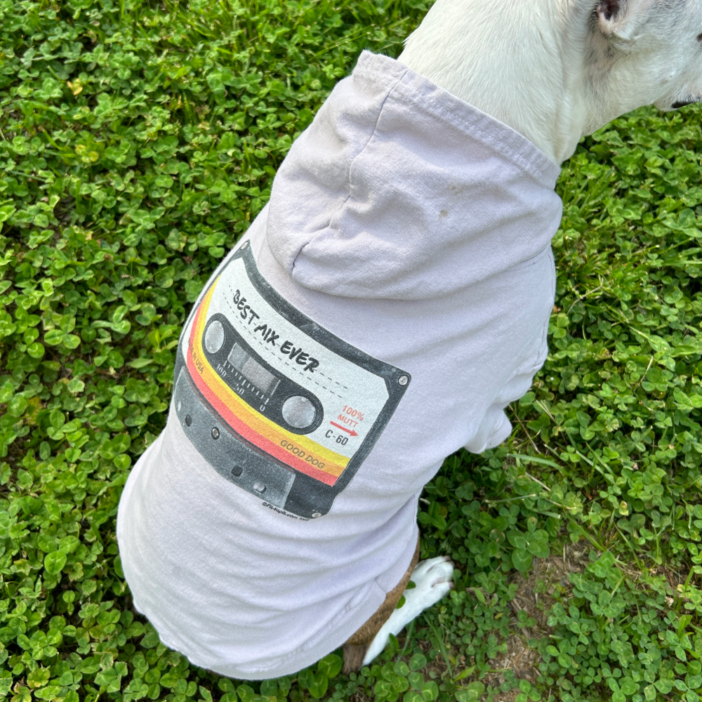 close up of the back of a whtte and brown brindle pit bull-type dog with cropped ears wearing a light grey dog hoodie with retro cassette tape graphic 