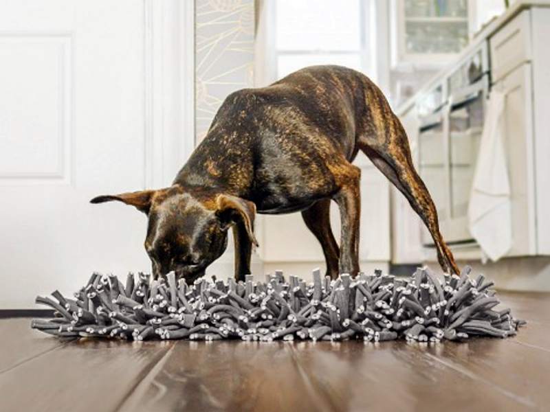 a brindle brown and black dog foraging for food in a grey snuffle mat on a kitchen floor