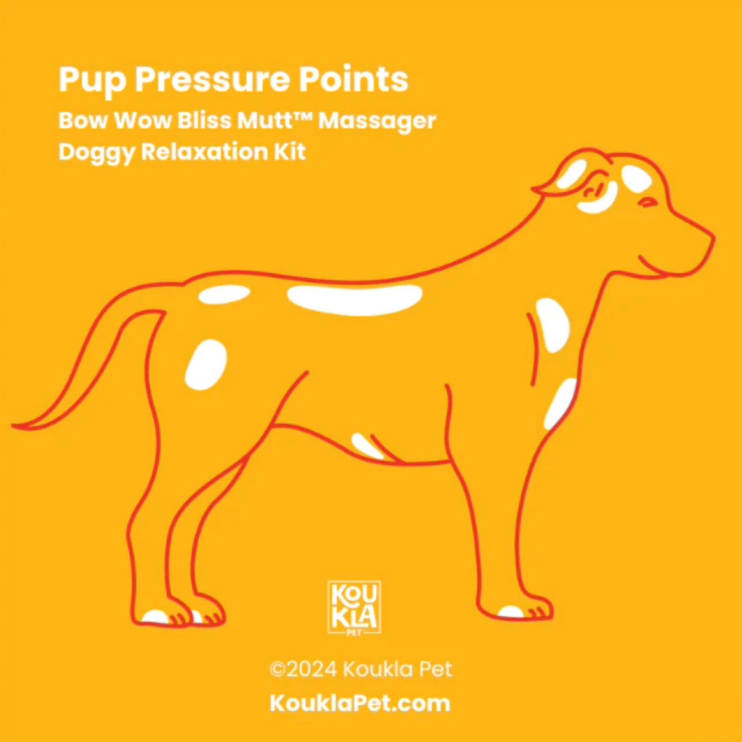 An infographic showing pressure points on a dog's body