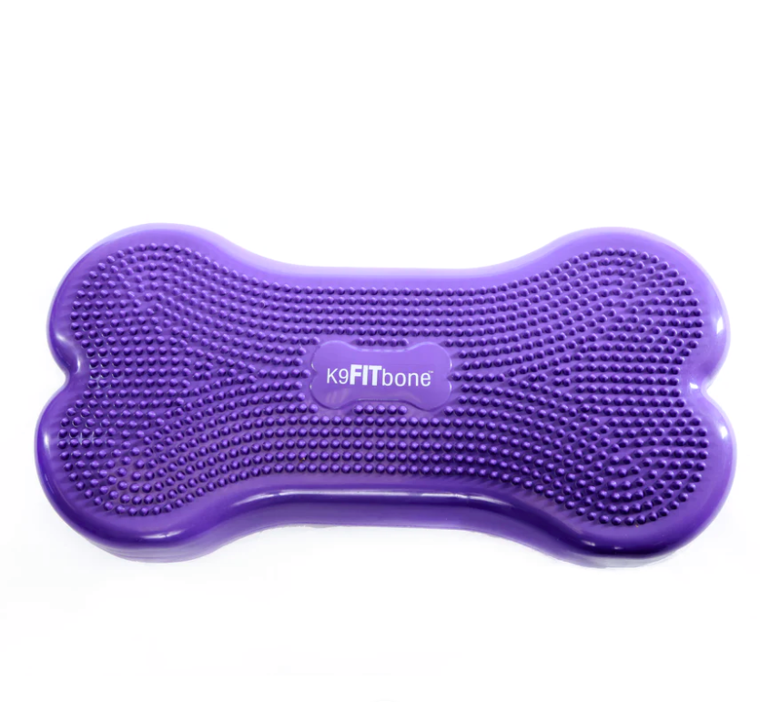 a purple inflatable bone-shaped dog balance platform