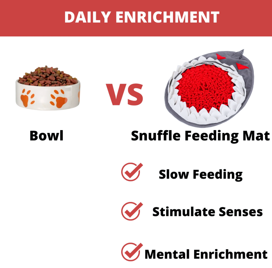 Infographic about feeding dog food via a regular bowl vs. feedign via snuffle mat