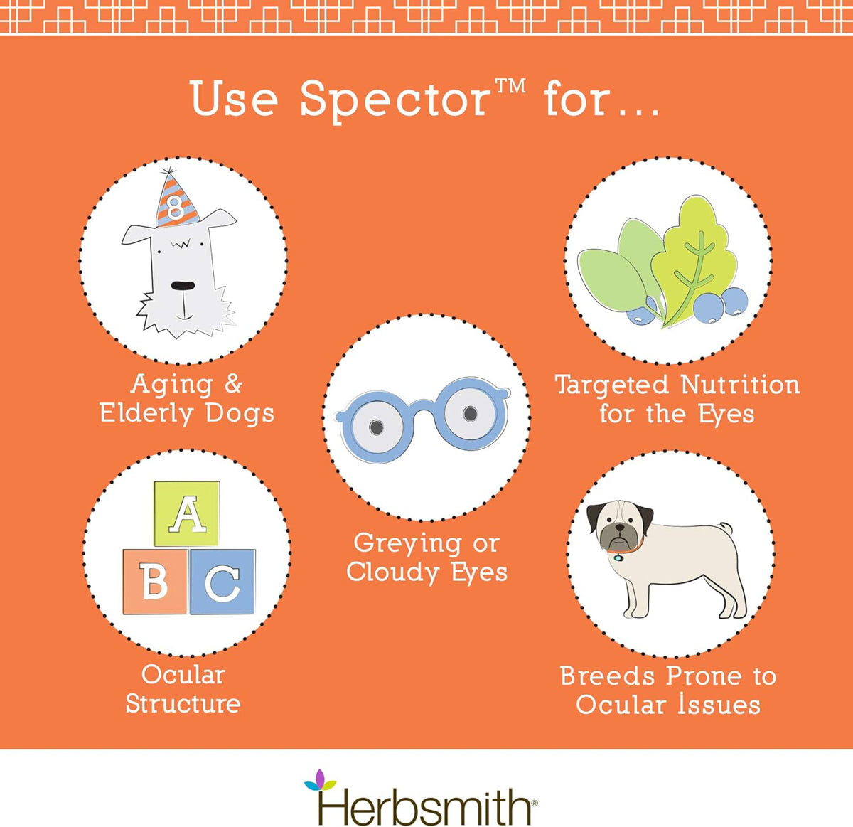 infographic explaining benefits of Spector supplement for dogs 
