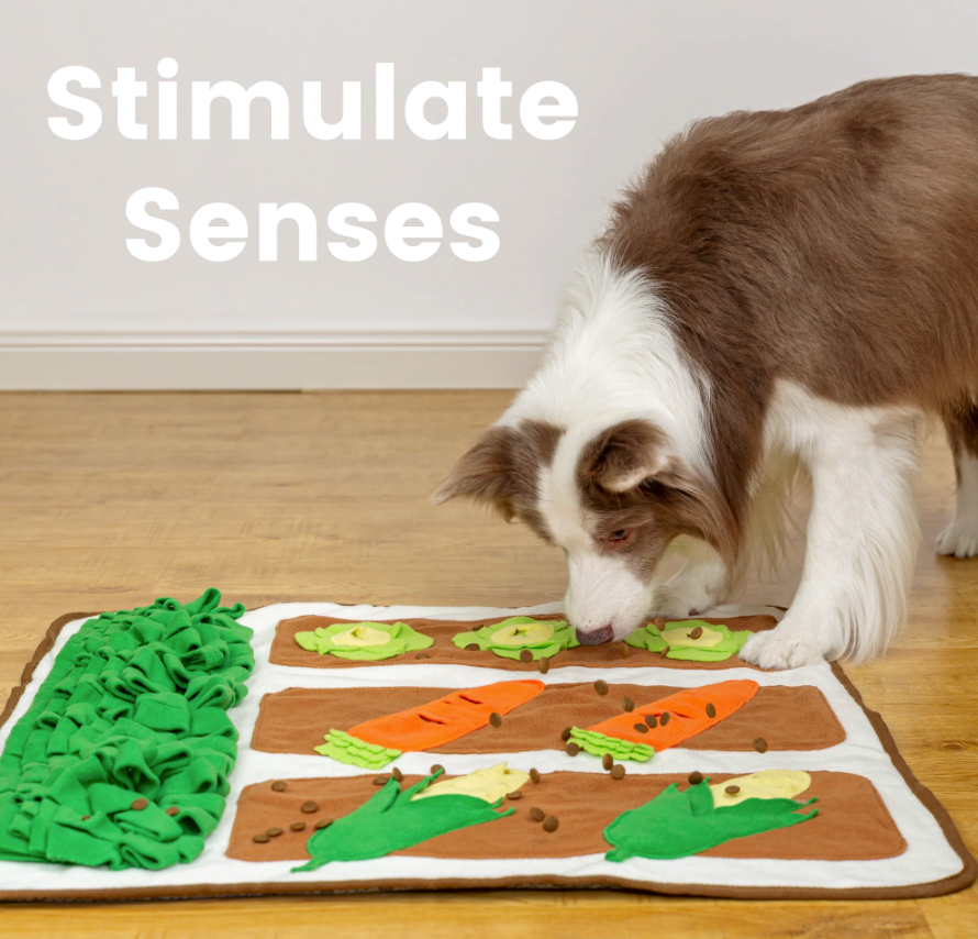 A brown and white herding-type dog foraging for food bits on a vegetable garden-themed snuffle mat dog toy with 3 cabbages, 2 ears of corn, 2 carrots and some gras