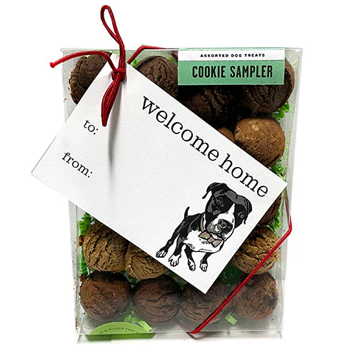 twenty round basked dog cookies with green paper grass in a clear plastic box with a "welcome home" tag portraying a black and white pit bull-type dog 