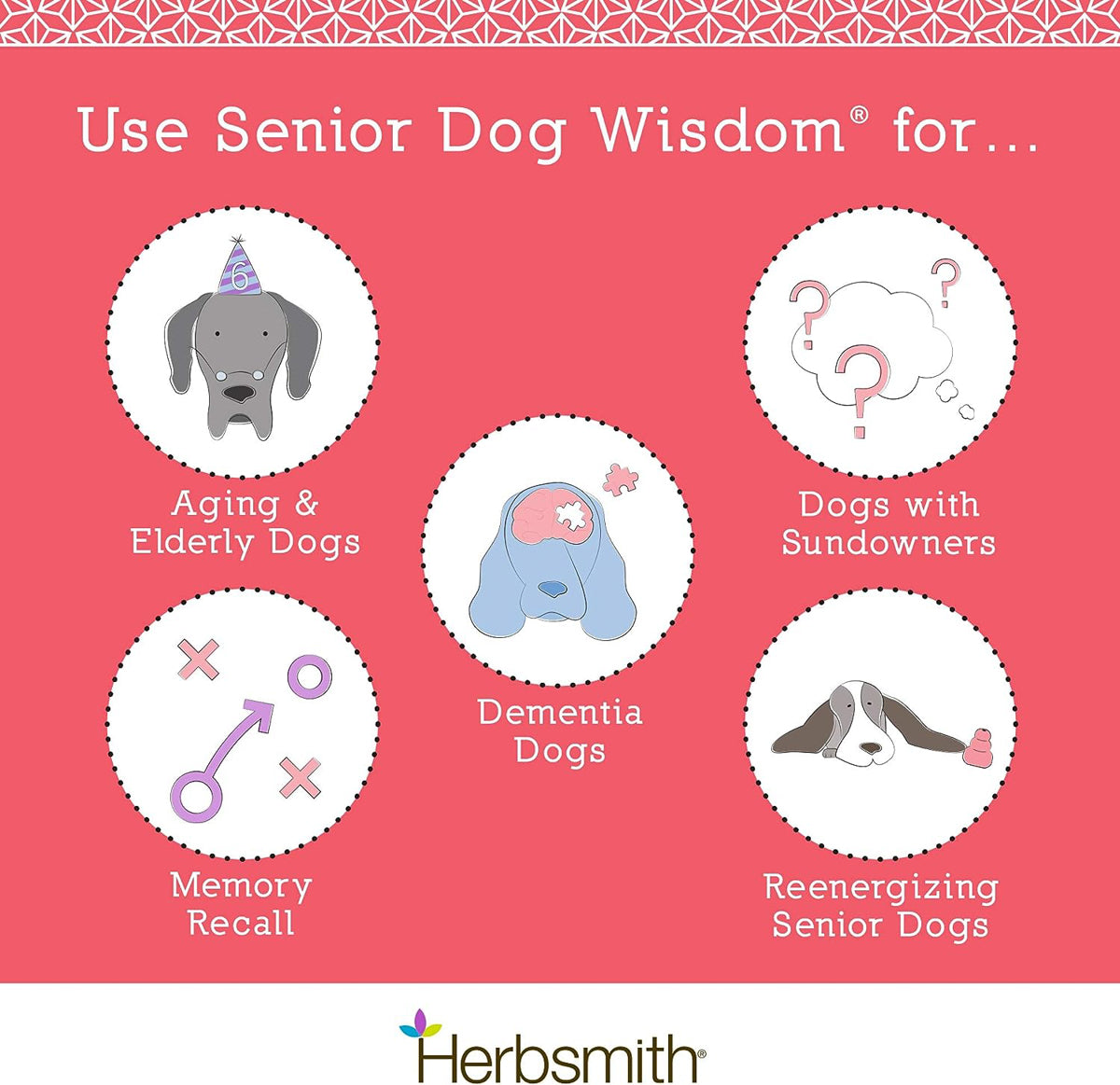 infographic showing the benefits and use of Senior Dog Wisdom Cognitive Support 