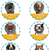 visual size chart of the ZenCollar inflatable recovery collar showing different dogs wearing collars of different sizes