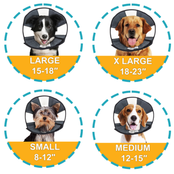Visual size chart for the Zone Cone recovery collar showing different sized collars on 4 dogs of different sizes