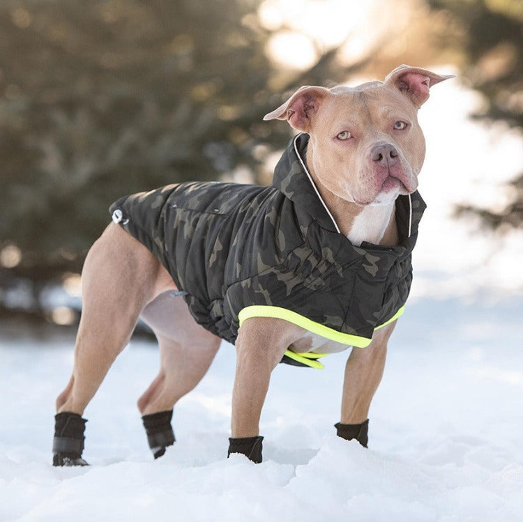 A tan pit bull type dog standing in the snow wearing a hooded camo puffer