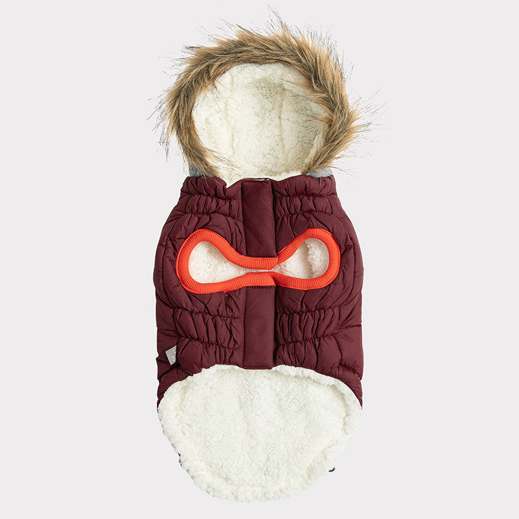 underside of a burgundy and grey hooded winter parka for dogs