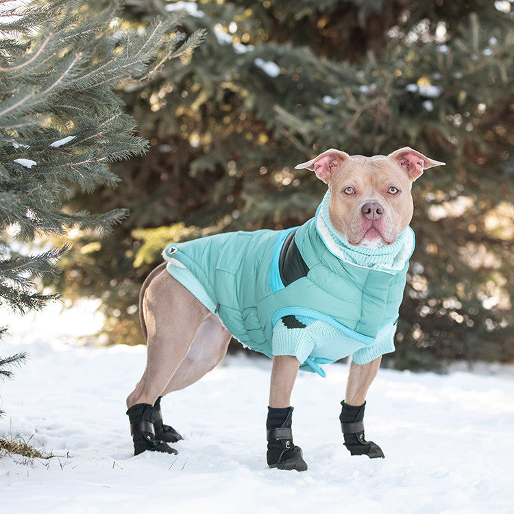 Puffy jacket for outlet dogs