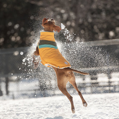 A brown dog jumping in snow wearing yellow puffer