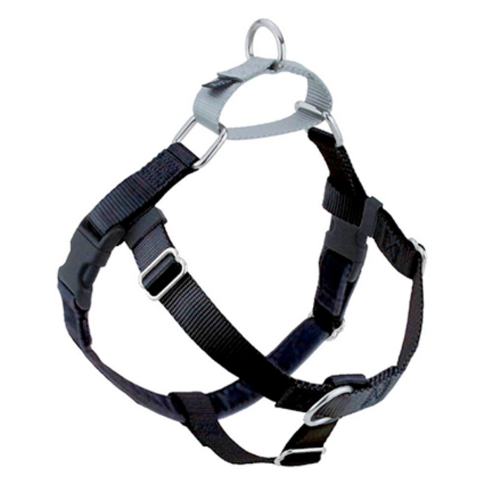 a black dog harness