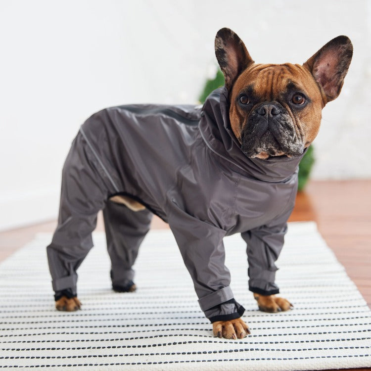 a brown french bulldog wearing a grey 4-legged Splash Suit for dogs