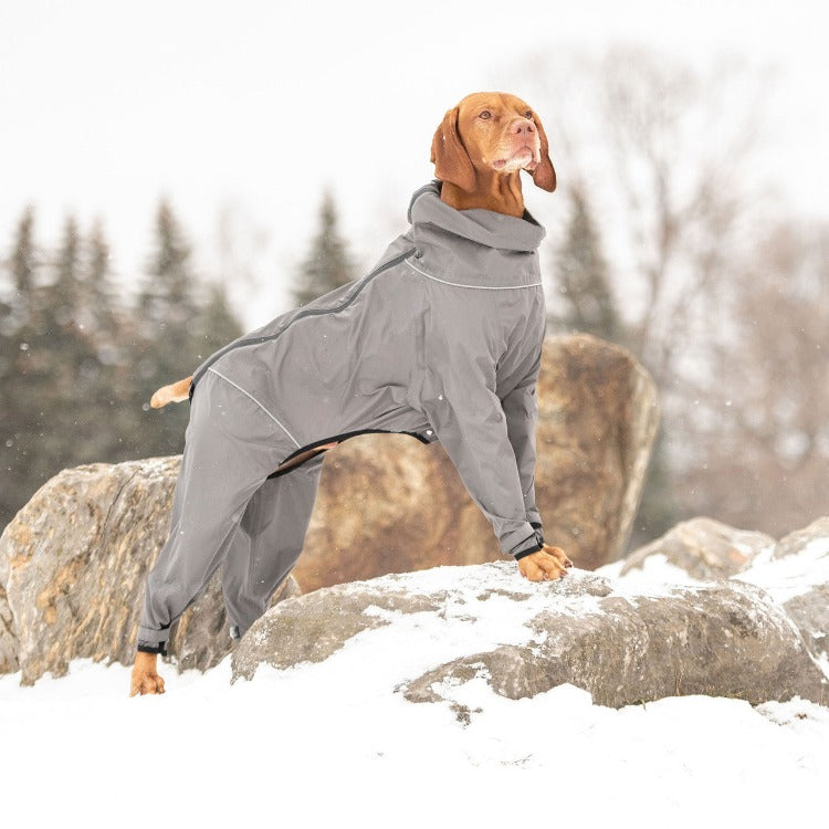 a brown dog standing on a large rock wearing a grey 4-legged Splash Suit for dogs