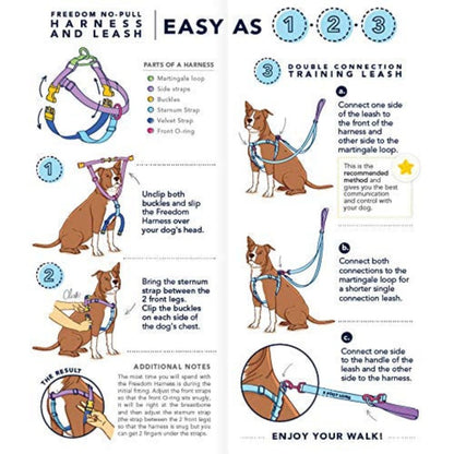 Freedom No-Pull Harness fitting instructions featuring various drawings of a brown and white pit bull type dog being fitted
