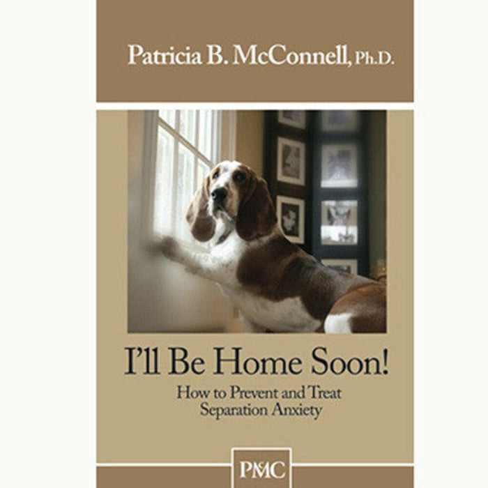 Tan colored book with a photo of a brown and white dog Bassett Hound type dog looking out a window