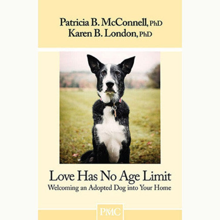 A pale yellow book with a photo of a black and white dog with pricked ears sitting in a field
