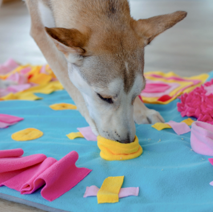 Injoya Vegetable Garden Snuffle Mat Dog Toy