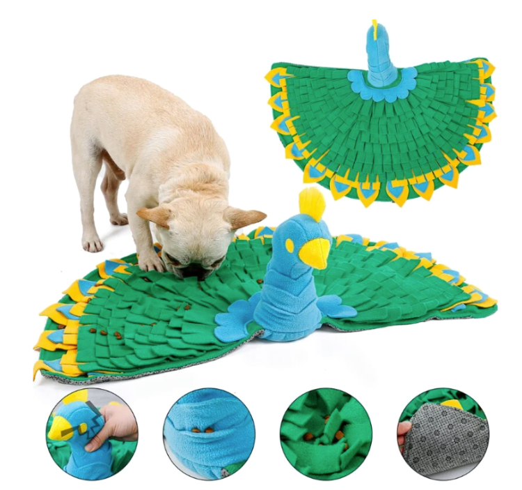 a tan french bulldog sniffing a blue and yellow peacock shaped snuffle mat
