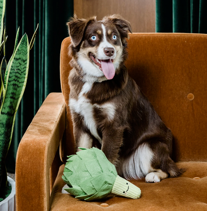 a brown and white dog sitting on a brown chair with an artichoke shaped plush toy in front of him