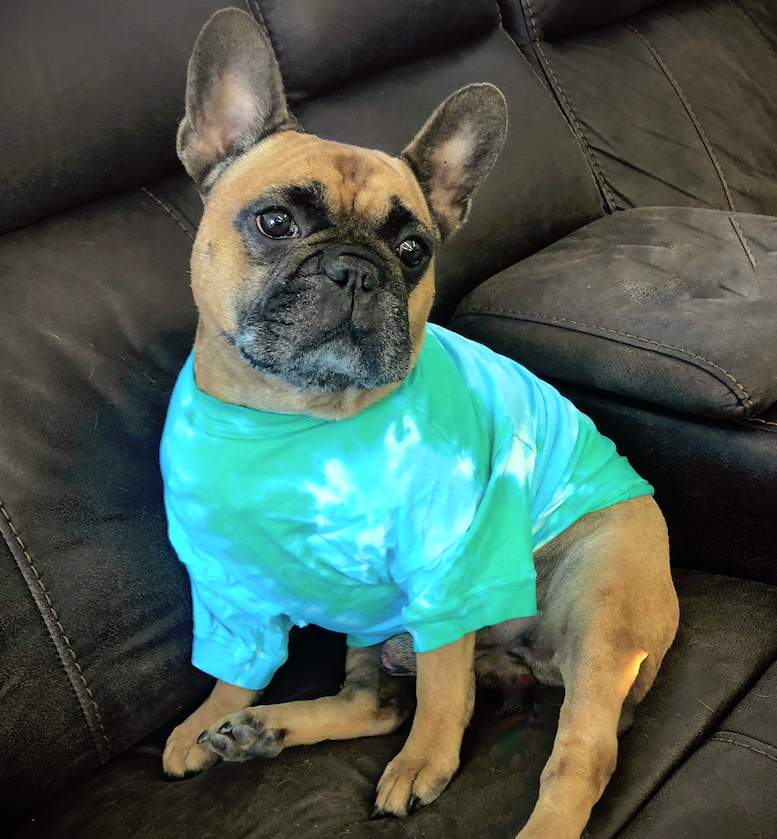 Your Dog's Favorite Tie Dyed T-shirt