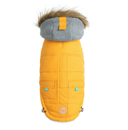 a yellow and grey hooded parka for dogs 