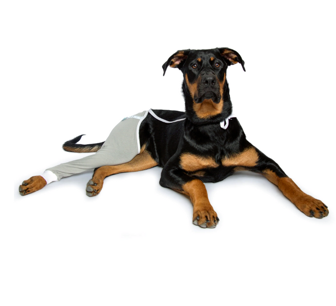 Lick Sleeve: Dog Front & Hind Legs Protection