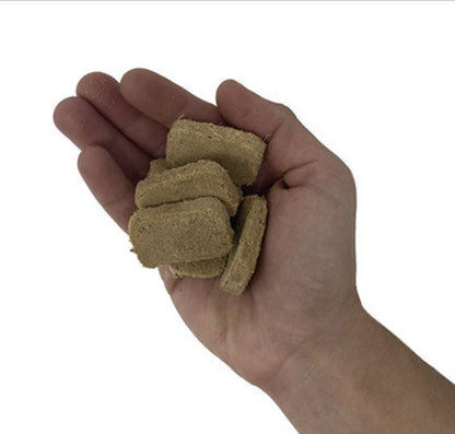 a hand holding several freeze dried dog food nuggets