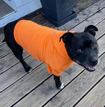 a black pit bull type dog standing on a wooden deck wearing an orange hoodie